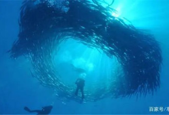 海底大探险 八个好去处