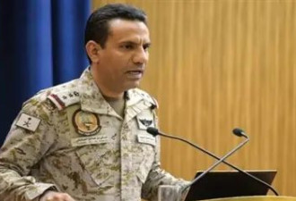 沙特国防部发言人:沙特没参与袭击也门荷台达行动