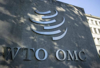 WTO发布报告 公开批评中国