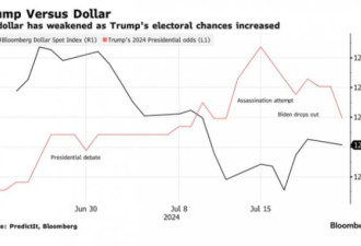 一张图告诉你：川普胜选概率与美元的关系