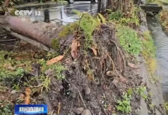 台风“格美”预计今夜登陆台湾,巨浪淹路树木倒伏