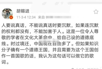 比张维为们强！胡锡进：不能说真话就沉默…