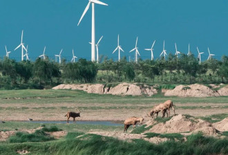 中国唯一没有山的城市 实在太仙了