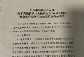 长沙8死5伤撞人案调查：案发前4小时与背后的...