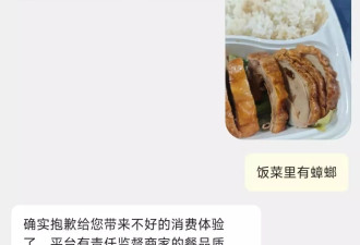 美团“拼好饭”火了!8.3元我点了份一言难尽的烧鸭饭