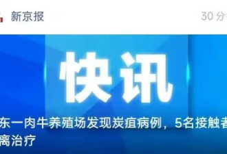 网友们爆出了山东炭疽病的更多内幕