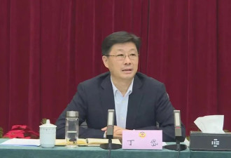 丁岱任上被查！9天前曾露面，近期缺席会议