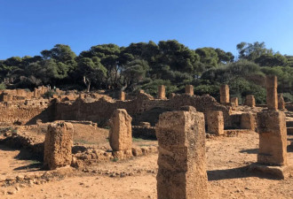 揭秘古罗马遗迹 探访阿尔及利亚世界遗产提帕萨
