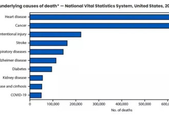 CDC公布去年美国十大死因：新冠仅排第十