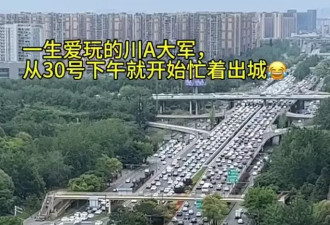 大量川A现身巴黎街头：成都人怎么买了那么多汽车？