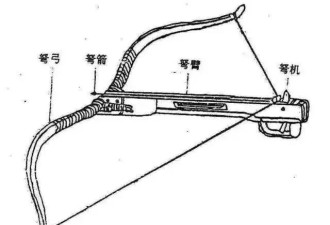 山东弓箭射人案,专业人士:作案工具是狩猎复合弓