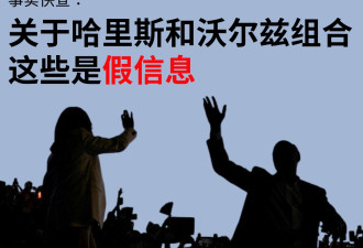 关于哈里斯-沃尔兹组合，哪些假信息正在流行？