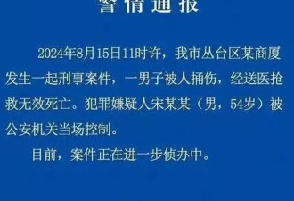 知名银行董事长被捅杀身亡，报表透露秘密