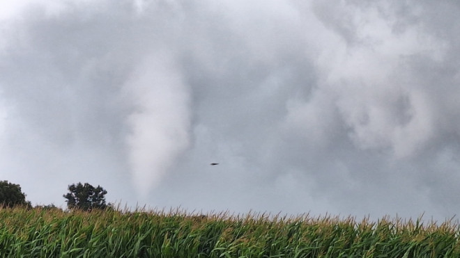 A funnel cloud can be seen in Ayr, Ont. on August 17, 2024. (Shelby Knox/CTV News)