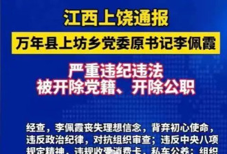 江西“佩奇”故事：两败俱伤背后的政治生态