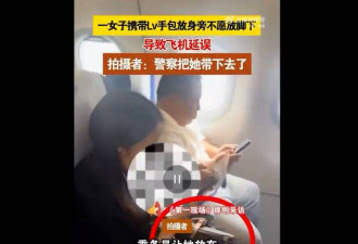 重庆女搭机不愿把LV包放座椅下 延误航班1个小时