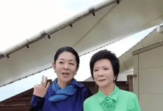 65岁倪萍自曝突发意外 “三个月来第一次出远门”