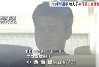 日本华裔乒乓球名将被捕 涉嫌猥亵触摸学生母亲