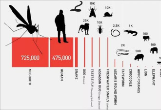 盖茨要用 AI 对付蚊子,人类和蚊子之战迎终局？