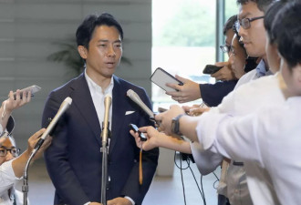 小泉进次郎最快月底宣布竞选自民党总裁 民调很高