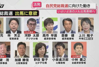 颜值高 背景强! 小泉进次郎或成下任日本首相