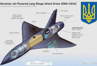 乌军成功试射无人机导弹 能攻击俄任何地方