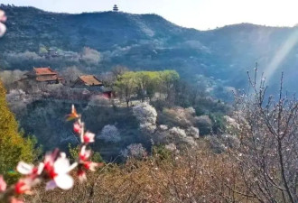 怡然见晋中 | 森呼吸到太行太岳山麓