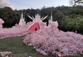 黄子韬求婚，好一出土味短剧…