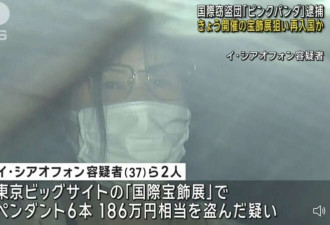 盗窃集团成员? 2中国女子一落地日本机场就被捕