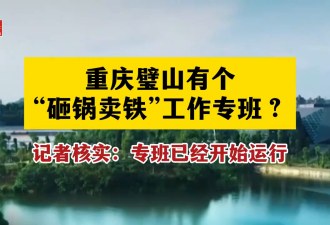 住房养老金到砸锅卖铁，政策语言应该规范化