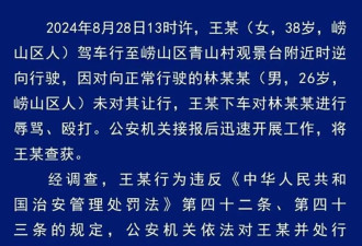 &quot;路虎女司机逆行打人&quot;是否构成寻衅滋事?律师解读