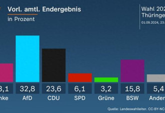 德极右翼政党在州选取得胜利 但可能无法执政