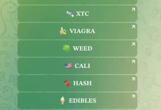 Telegram:从毒品武器到假代金券,&quot;你口袋里的暗网&quot;