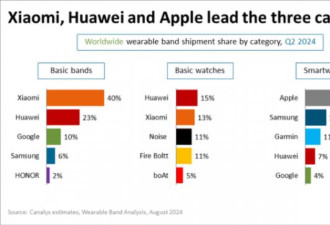 最新排行出炉 智慧穿戴市场将变天？
