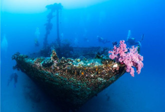 毛里求斯 蜜月之旅的顶级浪漫目的地