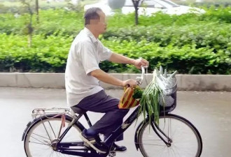 老赖黄淑芬：把人撞成植物人，最后结局如何