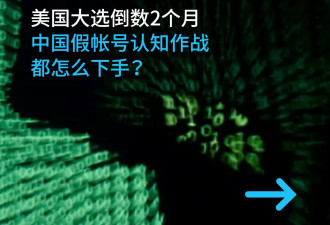 试图干涉美国选举中国假帐号都怎么下手？