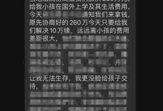 女商人垫资数百万承建镇政府项目 陷讨债泥潭轻生