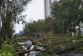 台风“摩羯”过境后，海南人的朋友圈....