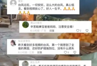 全红婵家被台风摧毁严重，婵爸婵妈情绪低落，爷爷在院里捡树枝