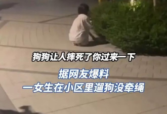 出街不戴狗带 毛孩追到女童狂哭遭爷爷摔毙 狗主抱尸痛哭