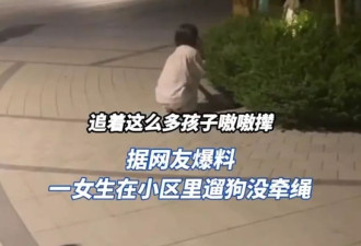 出街不戴狗带 毛孩追到女童狂哭遭爷爷摔毙 狗主抱尸痛哭