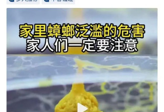 因谁最伟大，爱国网红批何祚庥院士：老的昏聩了