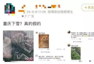 重庆40°C高温漫天飞雪？专家惊呼：这不合常理！