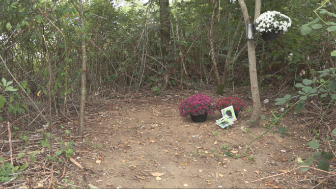 A dirt path leads to a now dismantled Abbotsford homeless camp. And not far from the garbage and discarded needles, there are flowers marking the spot where 13-year-old Brianna MacDonald died. (CTV News)