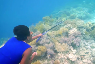 泰神秘海上部落 徒手潜水40米剧毒河豚照吃不误