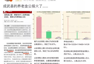 一则发展统计公报火了:终于理解为何都往体制里钻