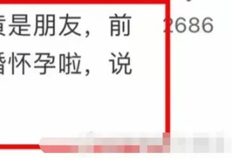 叶珂被曝已怀孕正在养胎！疑似曾与黄晓明做过产检抽血