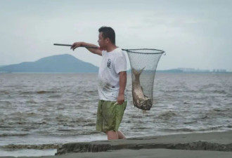 钱塘江追潮人：流量与生死，天注定