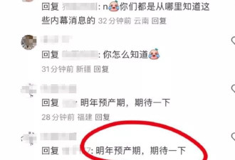 比起曾经的杨颖，叶珂还是“输”了